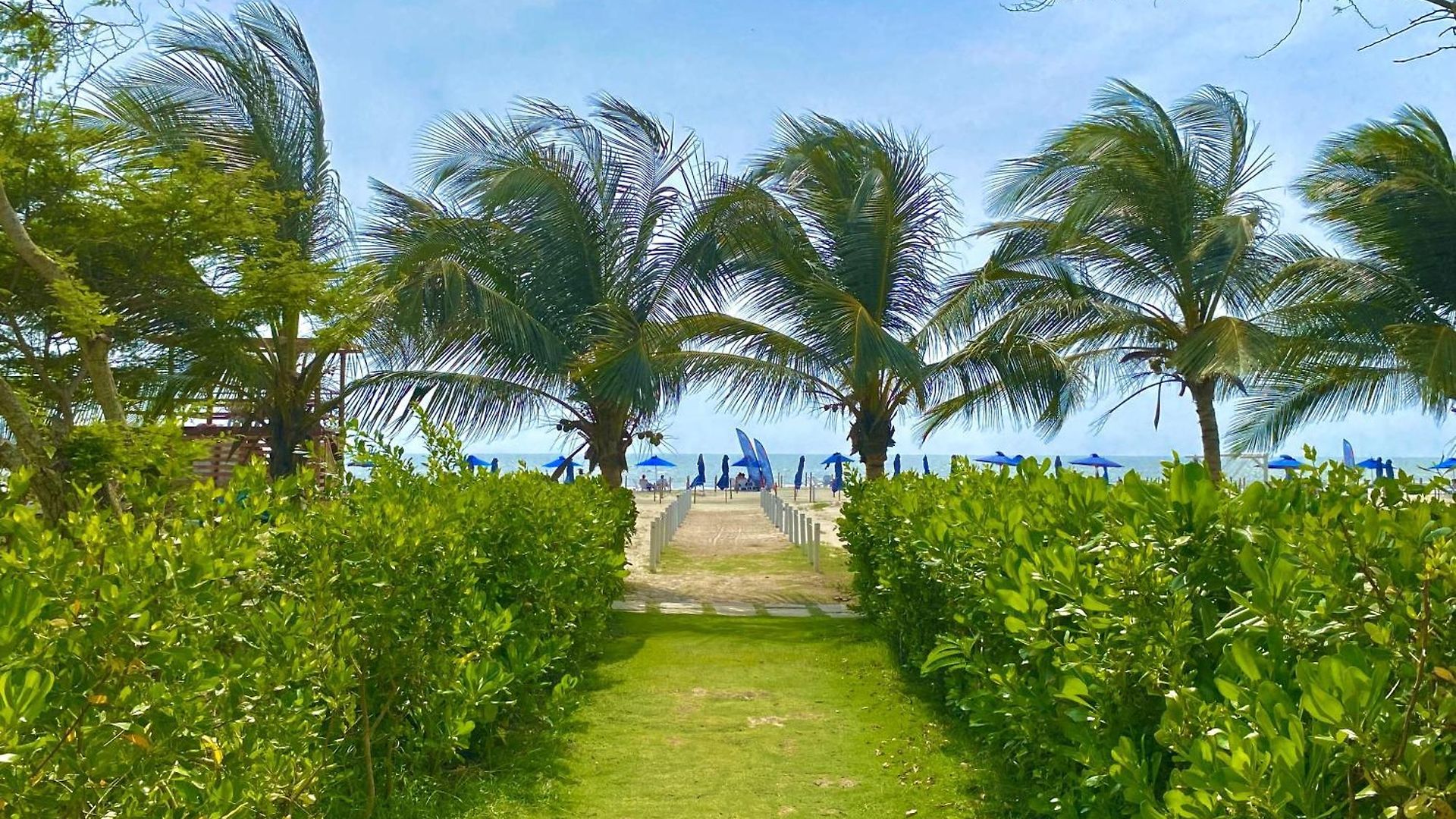 De Lujo Morros Zóe - Manzanillo - Apartamento *
